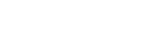 NanoTek